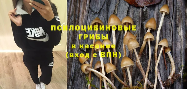 МДПВ Алзамай
