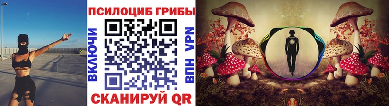 Галлюциногенные грибы GOLDEN TEACHER Шелехов