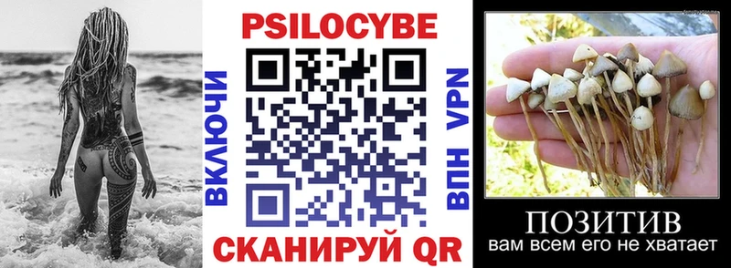 Псилоцибиновые грибы мухоморы  Шелехов 